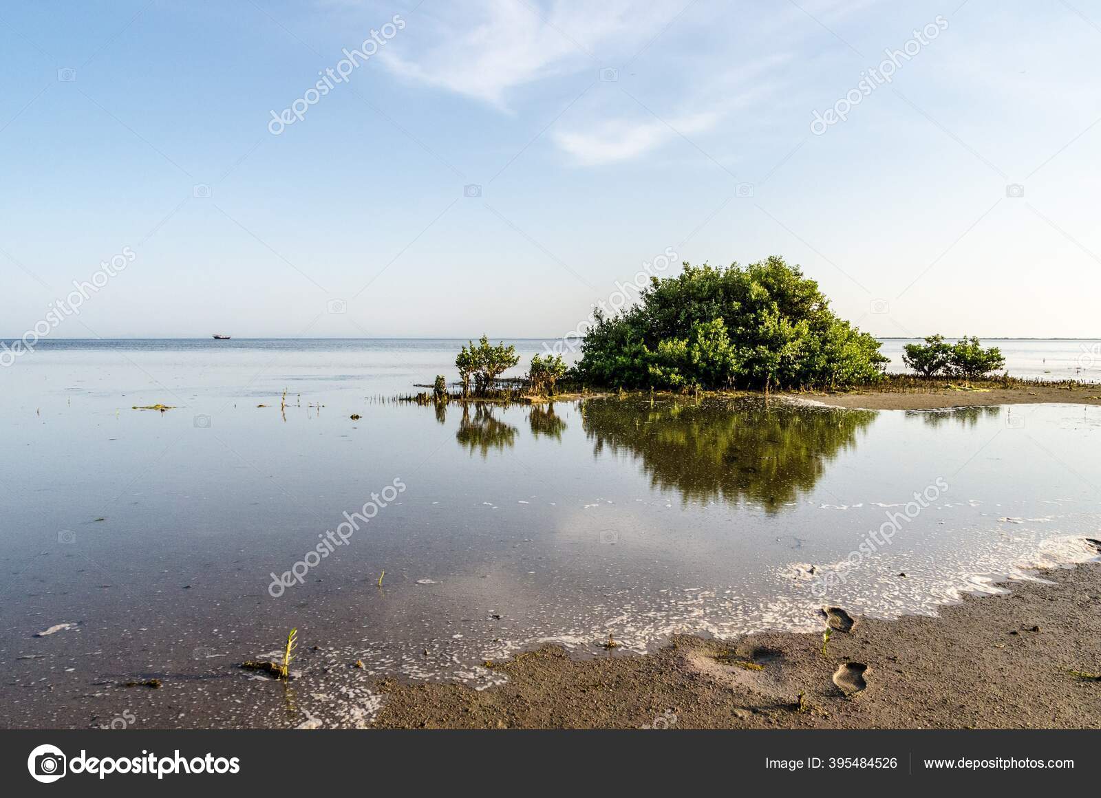 Post Image