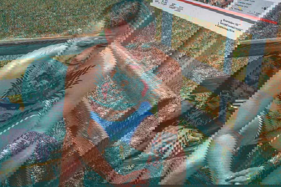 Post Image