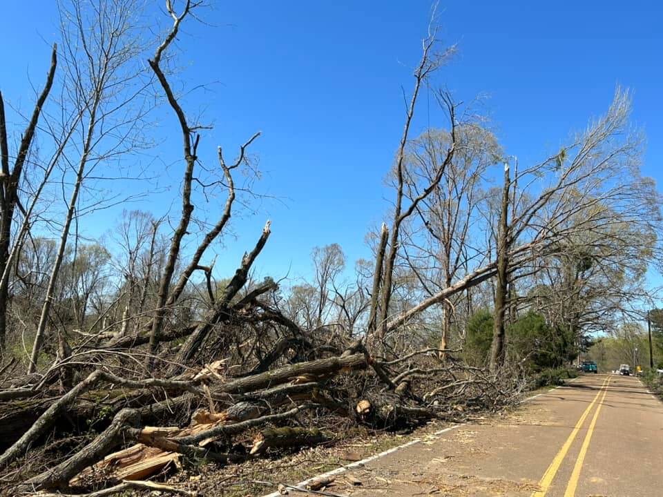 100% Broadband: DeSoto County Leads The Way In Mississippi 100% Broadband: DeSoto County Leads The Way In Mississippi