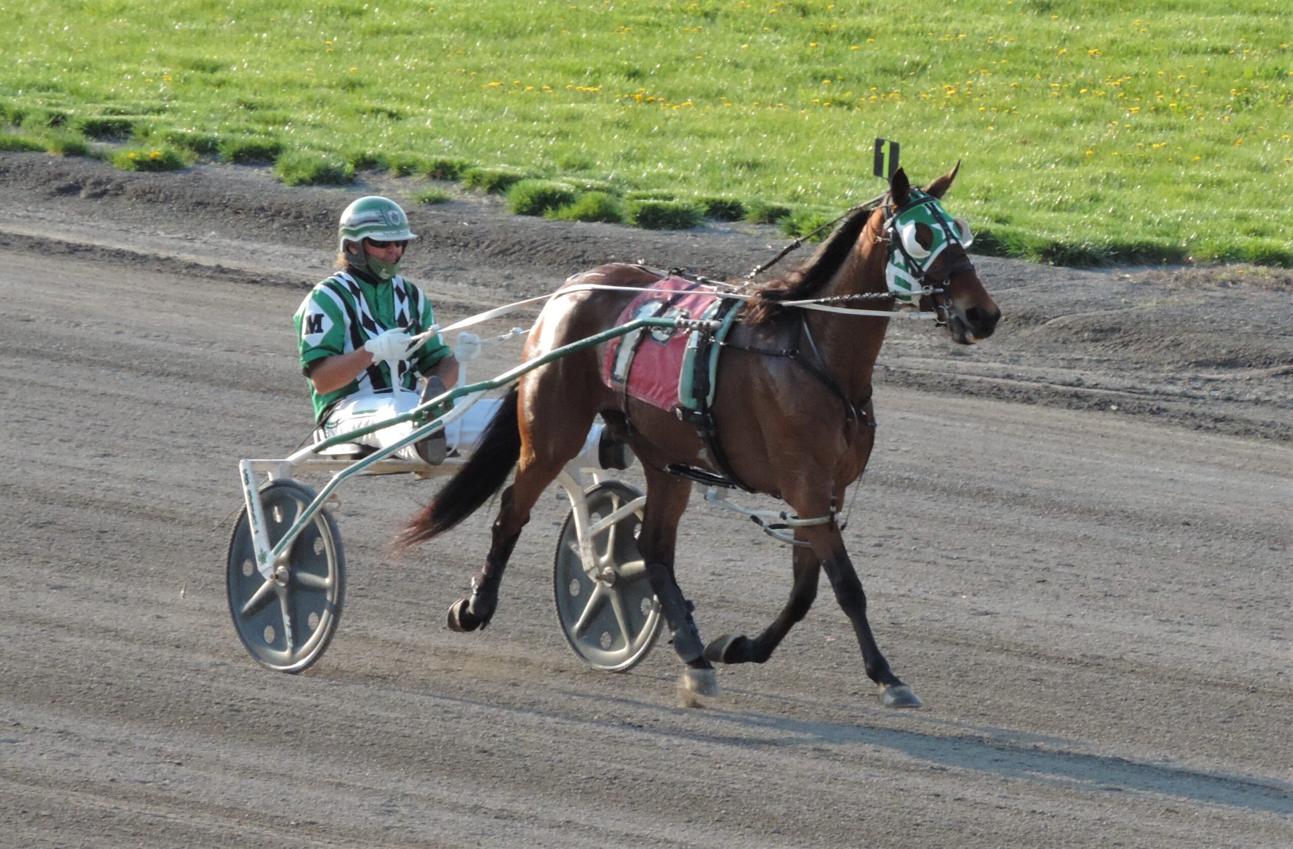 2025 Racing Season At Tioga Downs: A Preview 2025 Racing Season At Tioga Downs: A Preview
