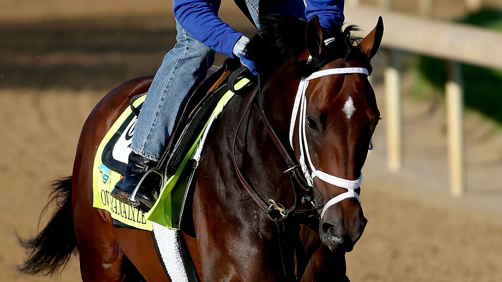 2025 Tampa Bay Derby: A Guide To Odds, Contenders, And Kentucky Derby Implications 2025 Tampa Bay Derby: A Guide To Odds, Contenders, And Kentucky Derby Implications