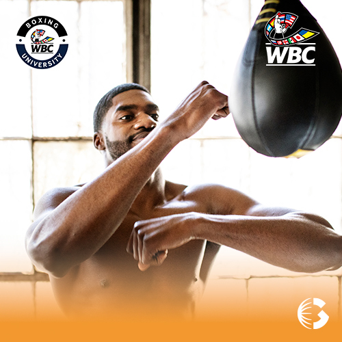 3 Días Para Comenzar Tu Entrenamiento De Boxeo En Edomex
