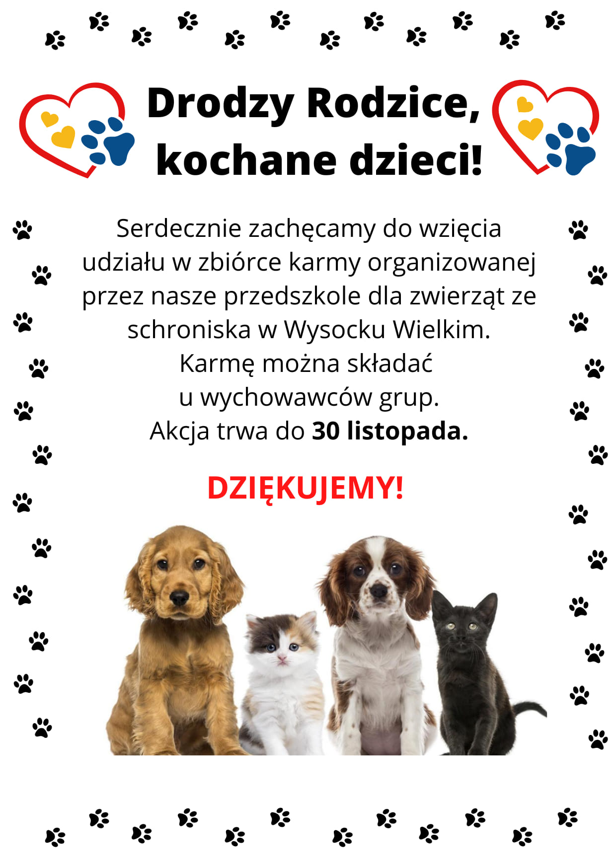 4 Kwietnia: Co Możesz Zrobić W Międzynarodowy Dzień Zwierząt Bezdomnych? 4 Kwietnia: Co Możesz Zrobić W Międzynarodowy Dzień Zwierząt Bezdomnych?