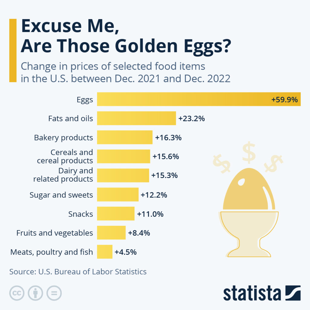 $5 A Dozen: Egg Prices Fall From Record Highs In The US $5 A Dozen: Egg Prices Fall From Record Highs In The US