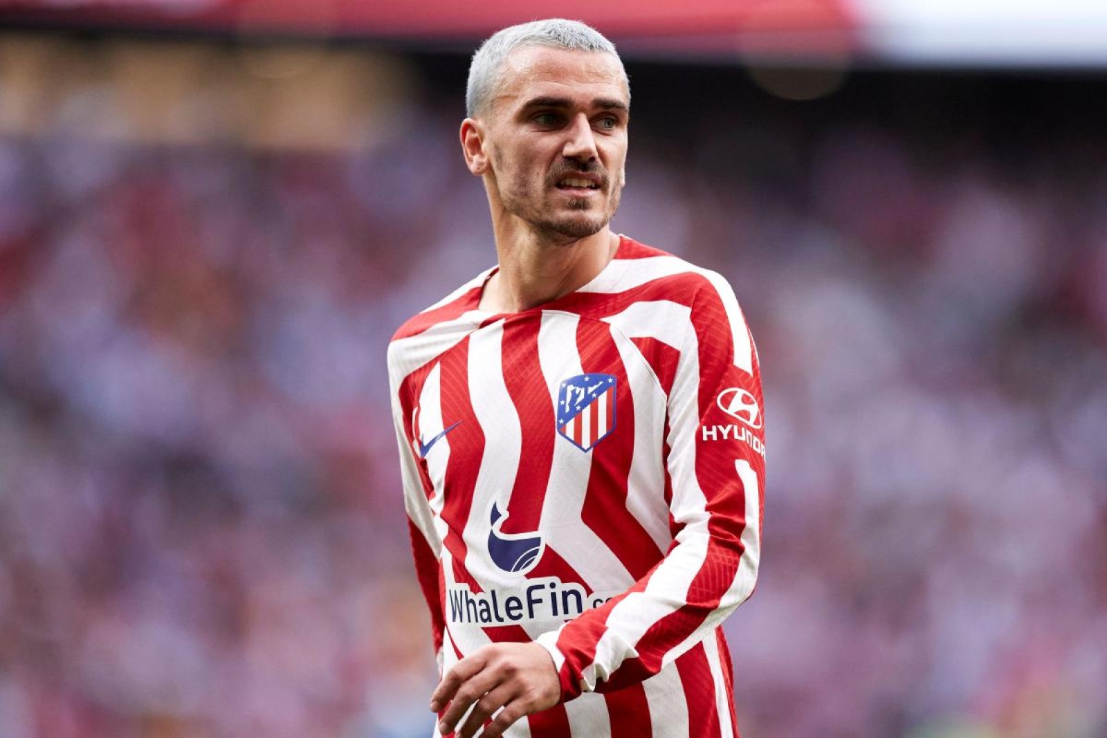 £90m Man United Star Targeted By Real Madrid: Full Report Details £90m Man United Star Targeted By Real Madrid: Full Report Details