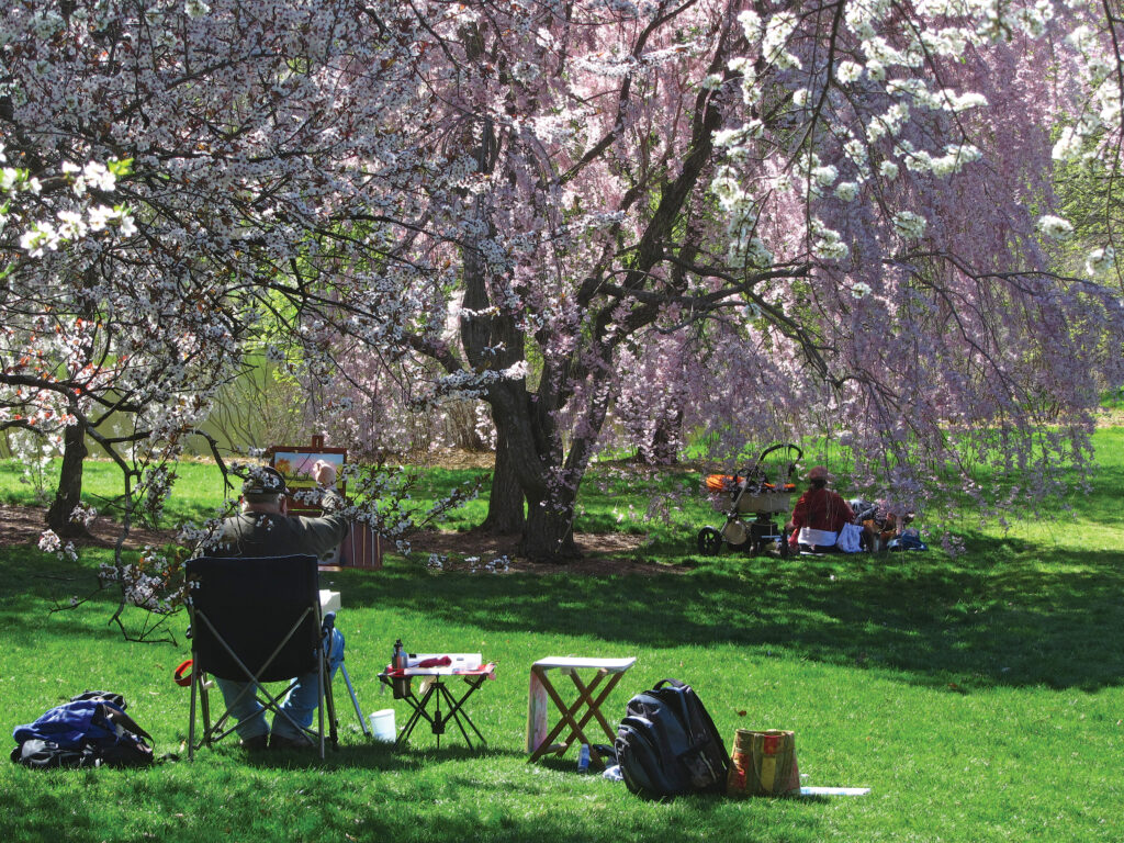 A Seattle Woman's Pandemic Refuge: Finding Solace In A Green Space A Seattle Woman's Pandemic Refuge: Finding Solace In A Green Space