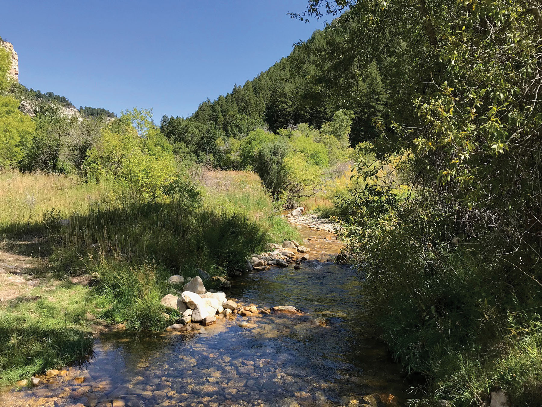 A Turning Point For Otter Management In Wyoming A Turning Point For Otter Management In Wyoming