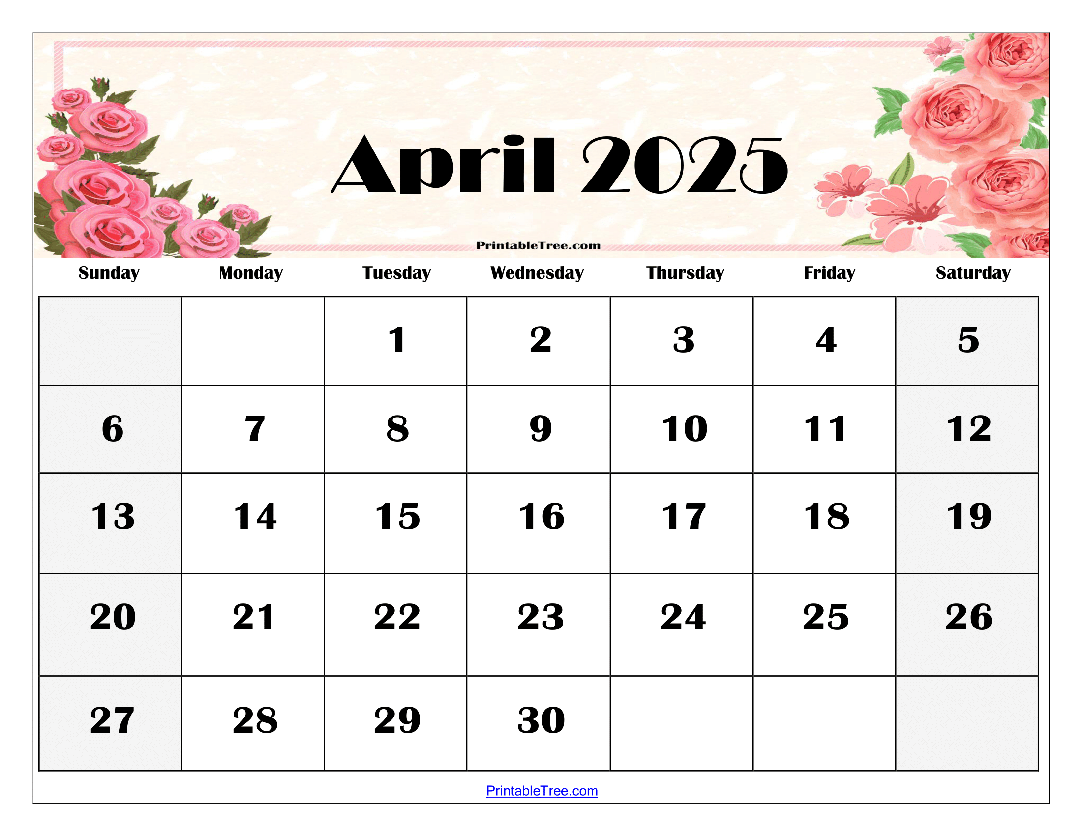 A Vont Weekend: Photo Diary (April 4-6, 2025) A Vont Weekend: Photo Diary (April 4-6, 2025)