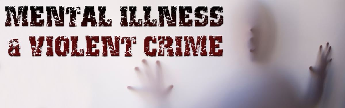 Academic Failure: Understanding The Link Between Mental Illness And Violent Crime Academic Failure: Understanding The Link Between Mental Illness And Violent Crime