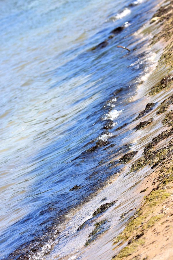 Acque Contaminate Da Microplastiche: Una Mappa Del Pericolo Acque Contaminate Da Microplastiche: Una Mappa Del Pericolo