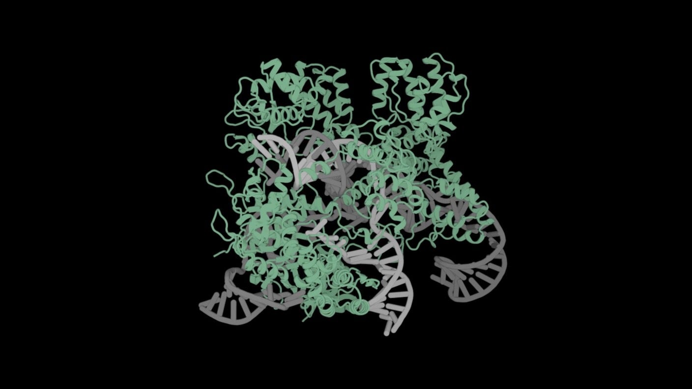Advanced Gene Editor: Precise Complete Gene Insertion Advanced Gene Editor: Precise Complete Gene Insertion