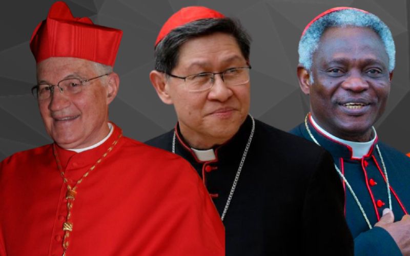 After Pope Francis: 9 Leading Candidates For The Papacy After Pope Francis: 9 Leading Candidates For The Papacy