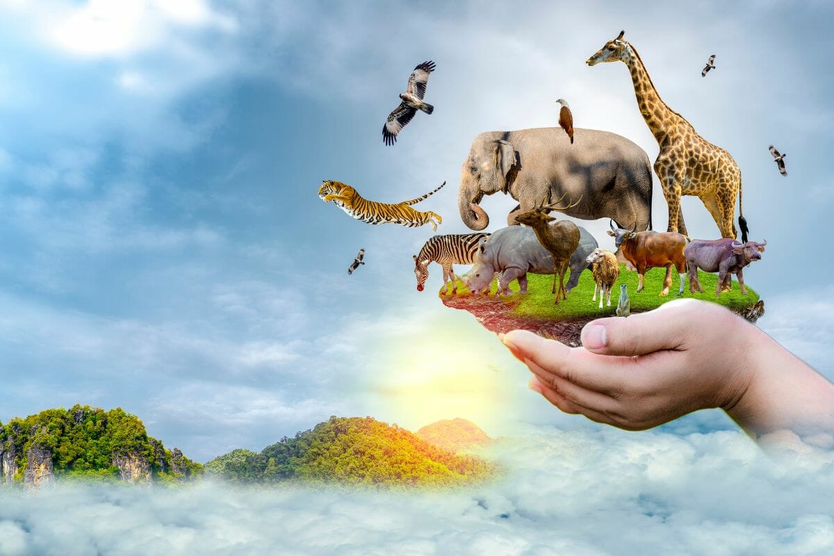 AI And Wildlife Conservation: Benefits, Challenges, And The Future AI And Wildlife Conservation: Benefits, Challenges, And The Future