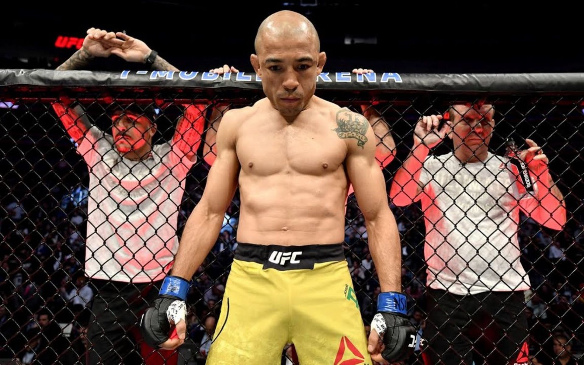 Aldo's Road Back: A Featherweight Journey Aldo's Road Back: A Featherweight Journey