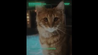 Alien Presence On Earth: SXSW Hints At Xenomorph Threat Alien Presence On Earth: SXSW Hints At Xenomorph Threat