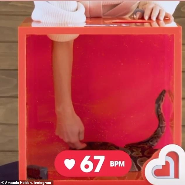 Amanda Holden's Shocking Dog Grooming Habit Revealed On Heart Radio Amanda Holden's Shocking Dog Grooming Habit Revealed On Heart Radio