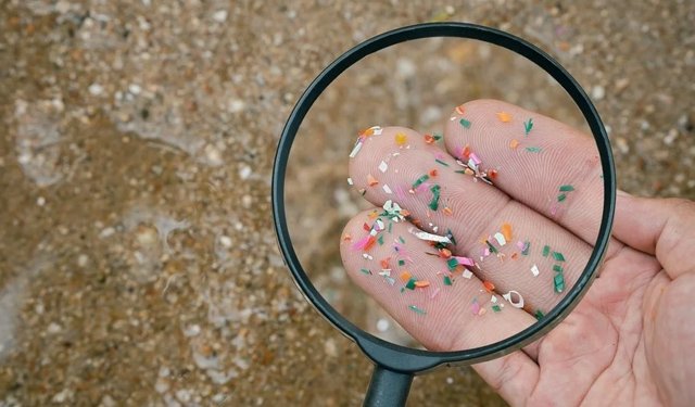 Analisi Della Presenza Di Microplastiche Nelle Diverse Acque Analisi Della Presenza Di Microplastiche Nelle Diverse Acque