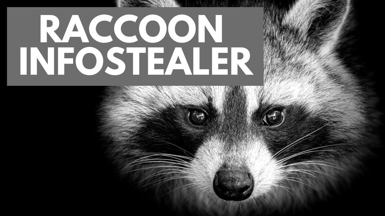 Analysis Of Arcane Infostealer: Infection Vectors And Impact On YouTube And Discord Users Analysis Of Arcane Infostealer: Infection Vectors And Impact On YouTube And Discord Users