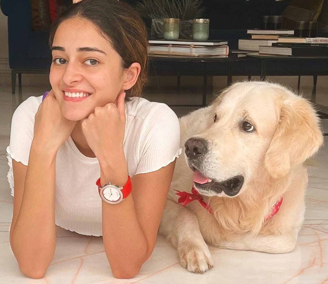 Ananya Panday's Dog Riot's First Birthday Celebration: A Look At The Special Day Ananya Panday's Dog Riot's First Birthday Celebration: A Look At The Special Day