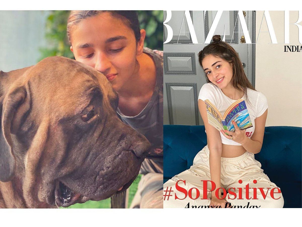 Ananya Panday's Dog Riot's First Birthday: Photos And Details Ananya Panday's Dog Riot's First Birthday: Photos And Details