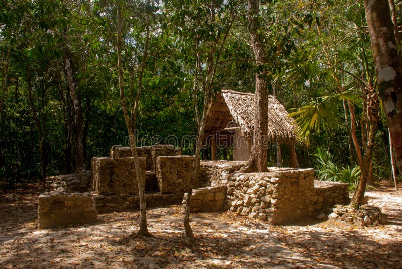 Ancient Mayan City Unearthed: A 3,000-Year-Old Complex Of Pyramids And Canals Ancient Mayan City Unearthed: A 3,000-Year-Old Complex Of Pyramids And Canals