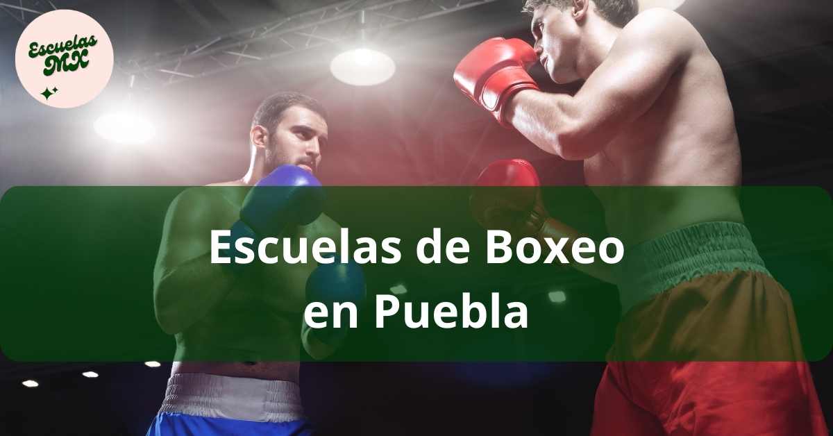 Aprovecha: Clases De Boxeo En Edomex - ¡Inscripción En 3 Días!
