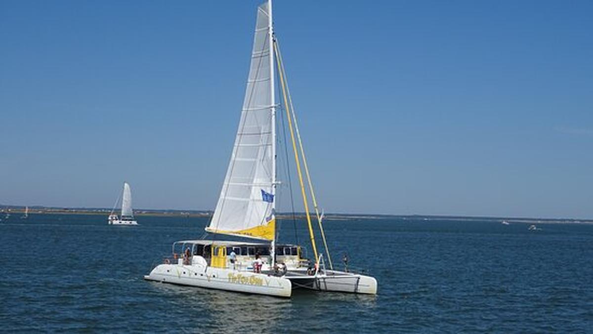 Arcachon : Le Tip Top One, 22 Ans D'histoire Sur Le Bassin Arcachon : Le Tip Top One, 22 Ans D'histoire Sur Le Bassin
