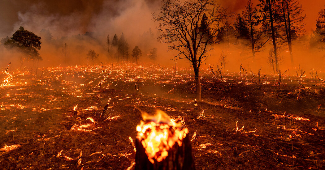 Betting On Los Angeles Wildfires: A Reflection Of Our Times Betting On Los Angeles Wildfires: A Reflection Of Our Times