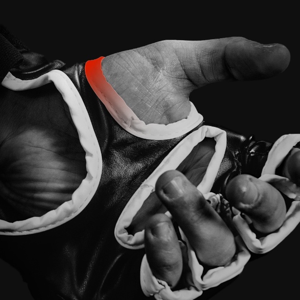 Betting On UFC 314: Understanding The Opening Odds Betting On UFC 314: Understanding The Opening Odds