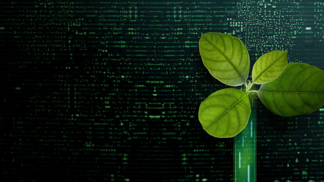 Bitcoin Madenciliğinin Sonu Yaklaşırken: Gelecek Ne Getiriyor? Bitcoin Madenciliğinin Sonu Yaklaşırken: Gelecek Ne Getiriyor?