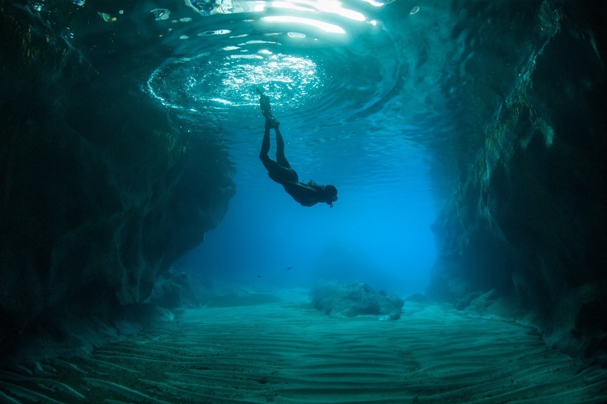 Bitcoin's Recent Recovery: A Deeper Dive Into Potential Future Trends Bitcoin's Recent Recovery: A Deeper Dive Into Potential Future Trends