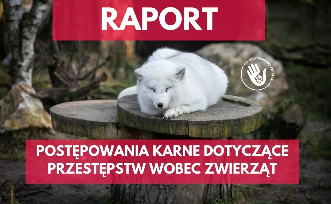 Blamaż Prokuratur W Polsce24: Dlaczego Unikają Trudnych Pytań? Blamaż Prokuratur W Polsce24: Dlaczego Unikają Trudnych Pytań?
