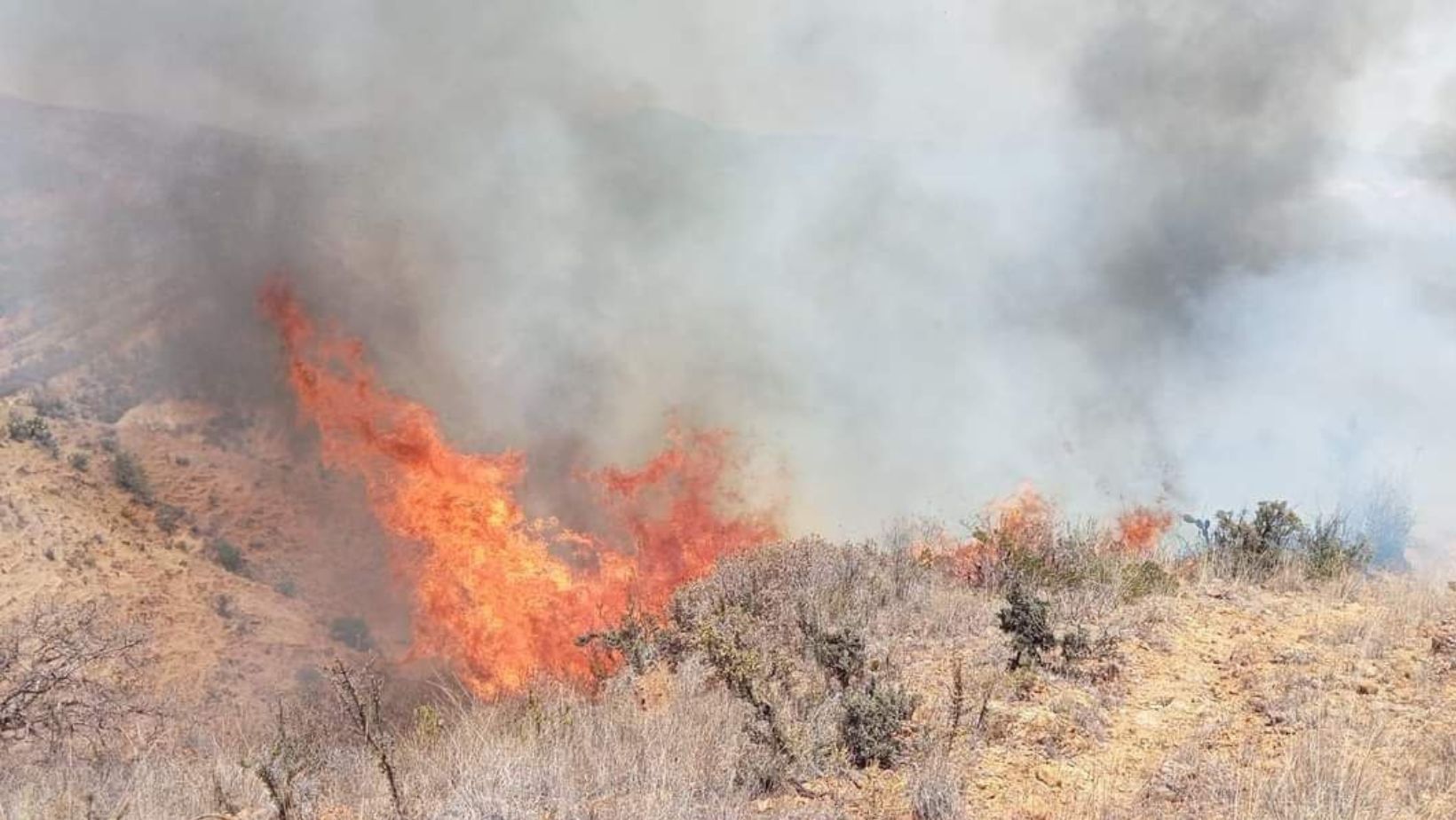 Bomberos Forestales Luchan Contra Incendio En Constanza: Densa Humo Afecta Residentes Bomberos Forestales Luchan Contra Incendio En Constanza: Densa Humo Afecta Residentes