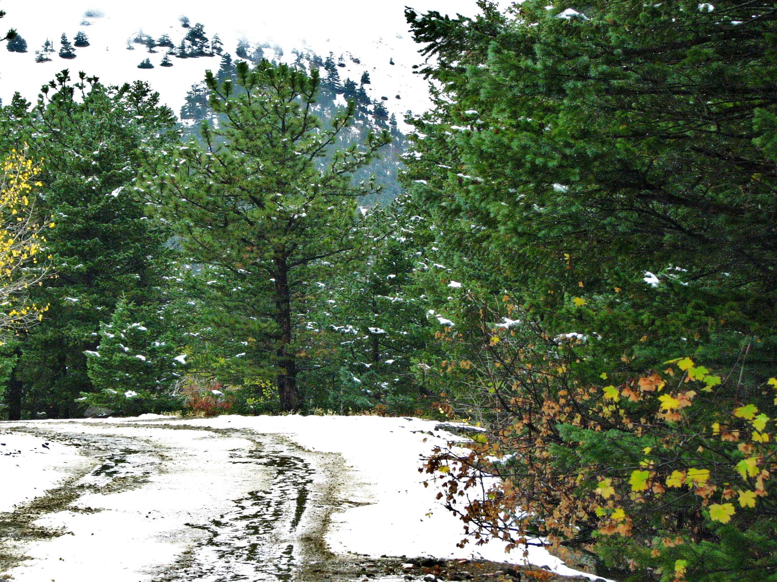 Boulder County's Switzerland Trail: A Mining History Boulder County's Switzerland Trail: A Mining History