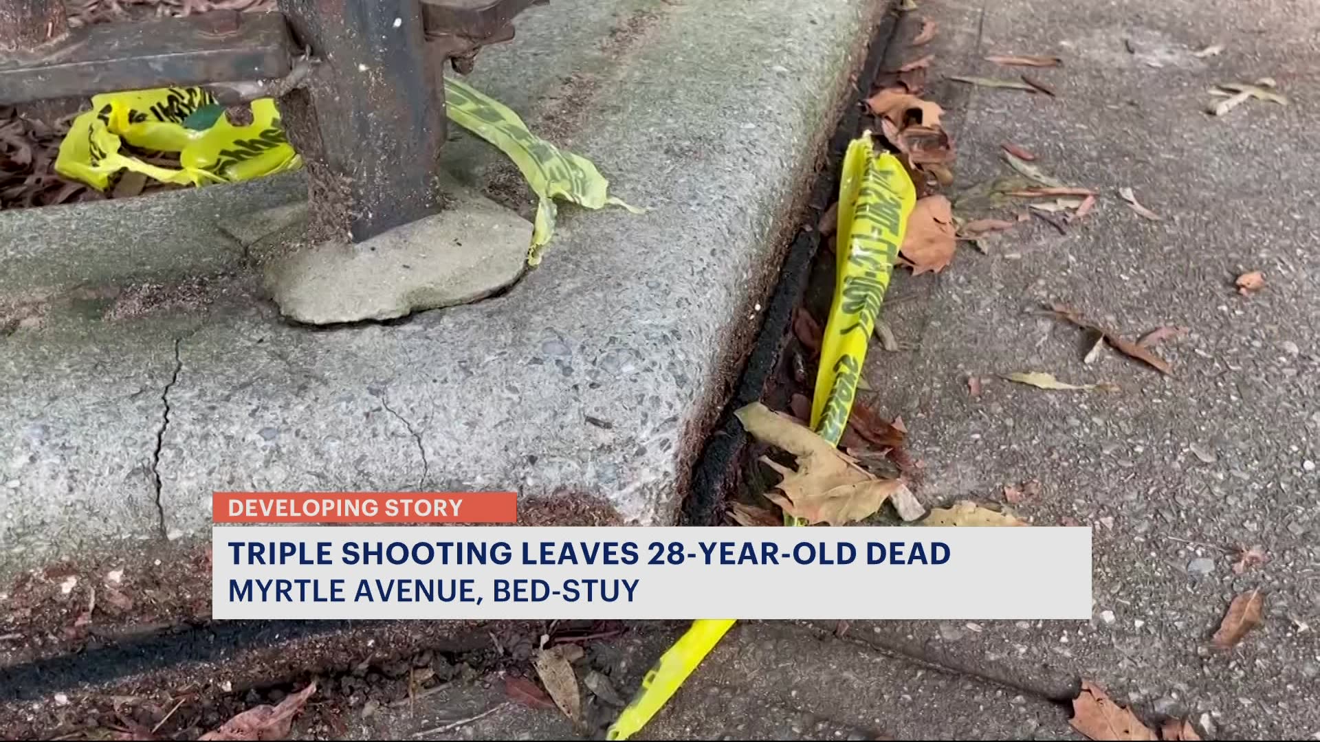 Brooklyn Bridge Park Shooting Leaves One Dead Brooklyn Bridge Park Shooting Leaves One Dead