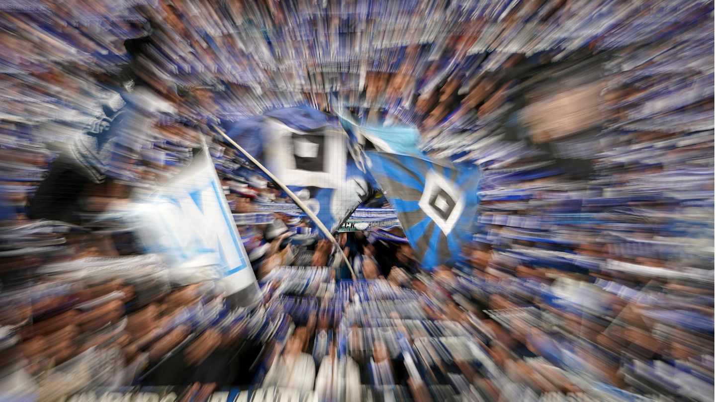 Bundesliga Rückkehr: HSV Im Aufstiegsrausch Bundesliga Rückkehr: HSV Im Aufstiegsrausch