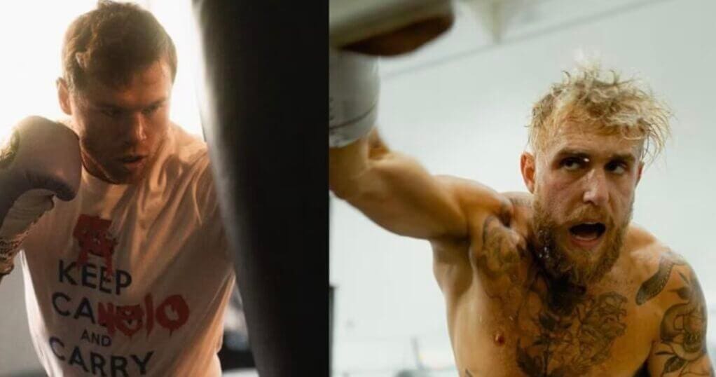 Canelo Alvarez's Blunt Assessment Of Jake Paul & Competitors Canelo Alvarez's Blunt Assessment Of Jake Paul & Competitors