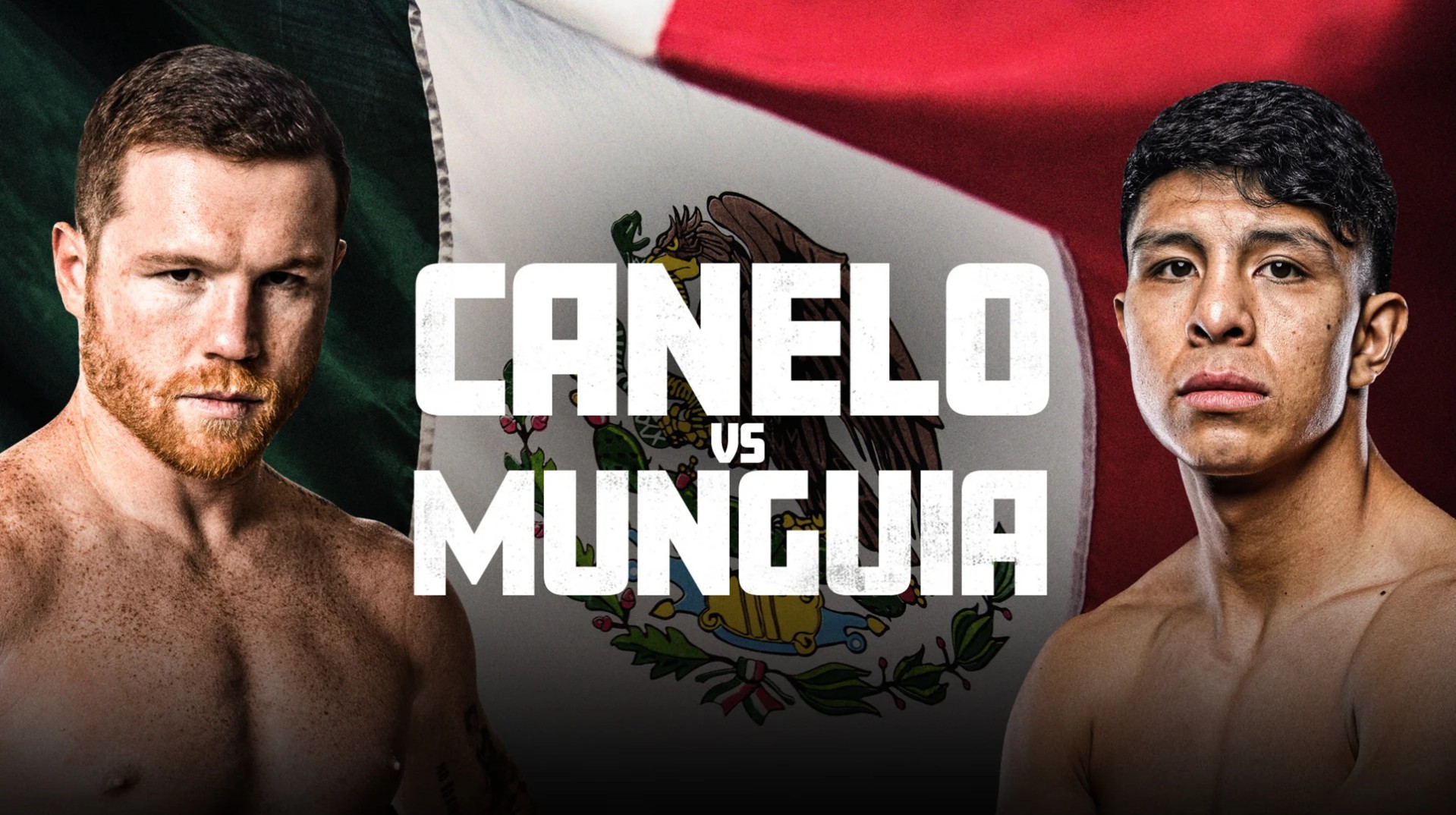 Canelo Alvarez's Frustration With David Benavidez: What He Said Canelo Alvarez's Frustration With David Benavidez: What He Said