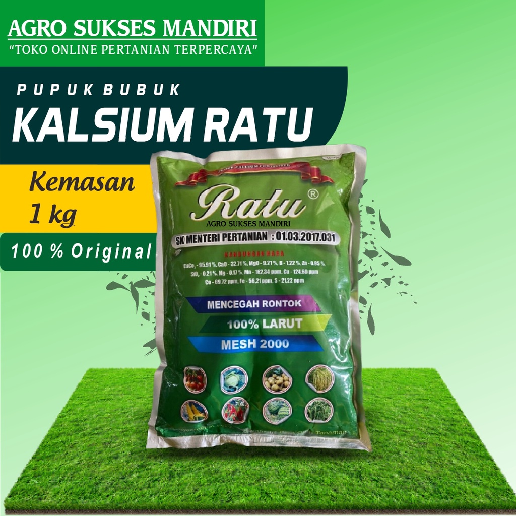 Cangkang Telur: Sumber Kalsium Alami Untuk Pertumbuhan Tanaman Dan Hewan Cangkang Telur: Sumber Kalsium Alami Untuk Pertumbuhan Tanaman Dan Hewan