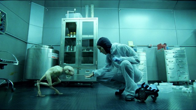 CayFest On Film: Splice - A Documentary Review CayFest On Film: Splice - A Documentary Review