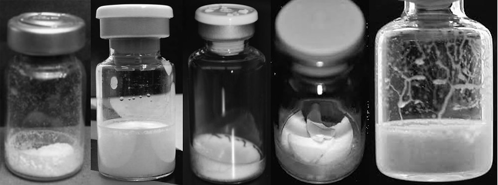 Challenges And Advancements In Automated Visual Inspection Of Lyophilized Drug Products Challenges And Advancements In Automated Visual Inspection Of Lyophilized Drug Products