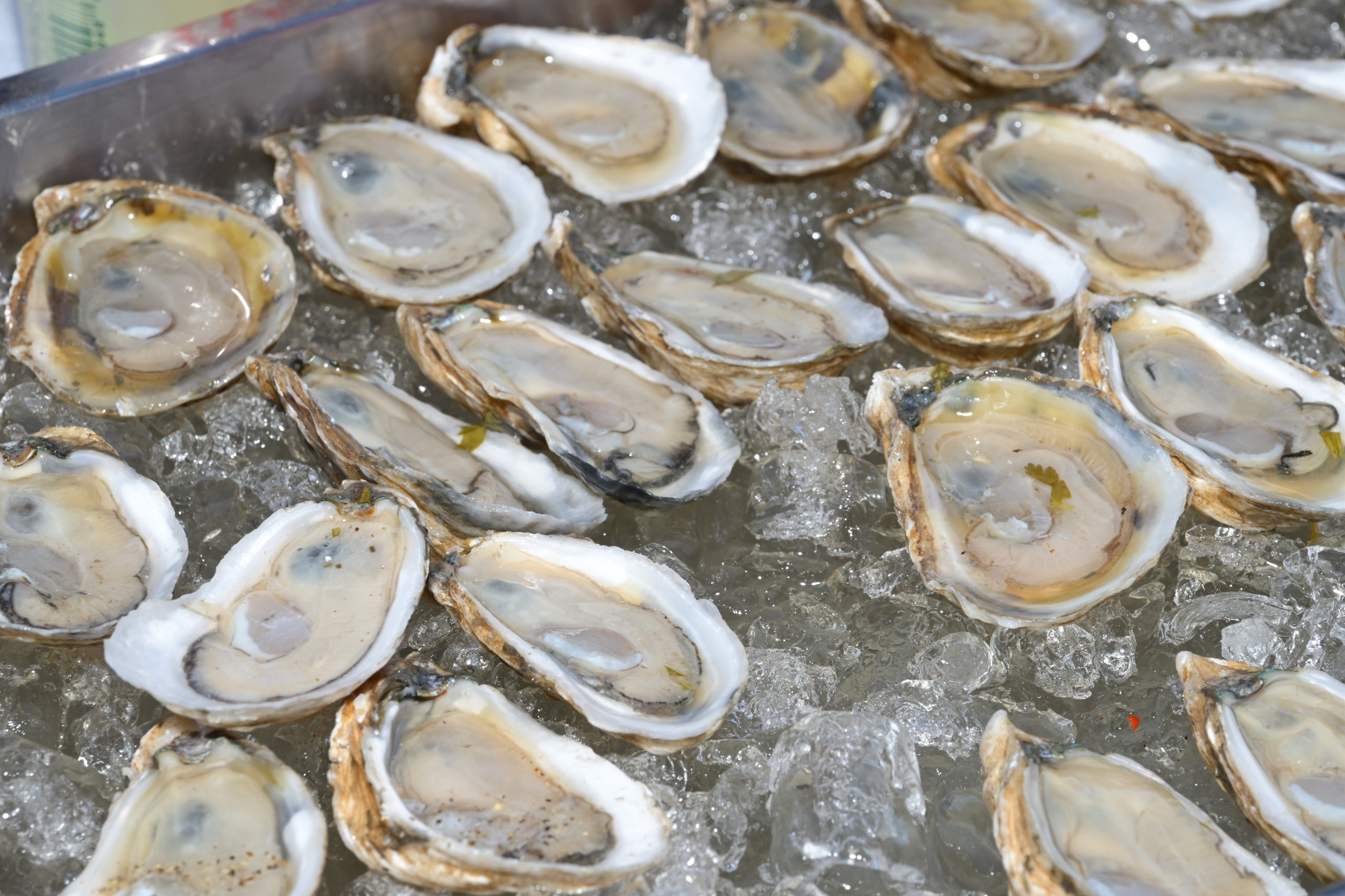 Check Your Walmart Purchases: Nationwide Recall Of ORVs, Oysters, And Scooters Check Your Walmart Purchases: Nationwide Recall Of ORVs, Oysters, And Scooters