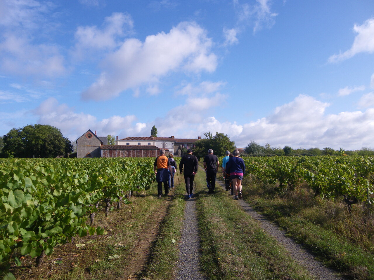 Cinq Itinéraires À Vélo Pour Découvrir La Loire, Le Vignoble Nantais Et L'Estuaire Cinq Itinéraires À Vélo Pour Découvrir La Loire, Le Vignoble Nantais Et L'Estuaire