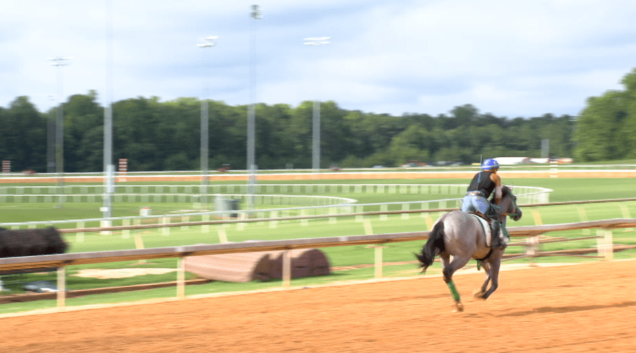 Colonial Downs Hosts Virginia Derby: Stone's Big Announcement Colonial Downs Hosts Virginia Derby: Stone's Big Announcement