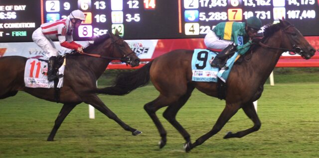 Colonial Downs To Host Virginia Derby: Stone's Official Announcement Colonial Downs To Host Virginia Derby: Stone's Official Announcement