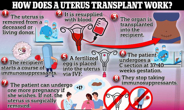 Community Activist Suggests Live Womb Transplants For Transgender Mothers Community Activist Suggests Live Womb Transplants For Transgender Mothers