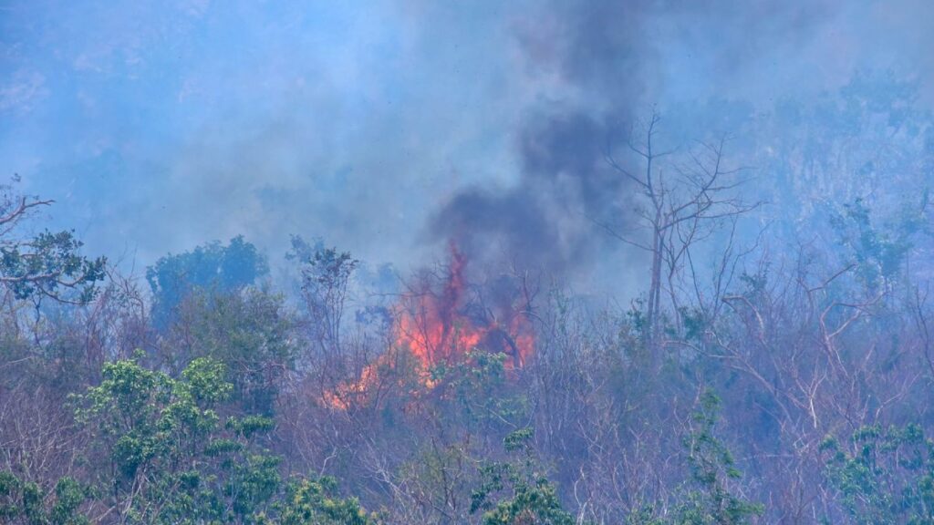 Constanza: Incendio Forestal Causa Densa Humo Y Afecta A La Población