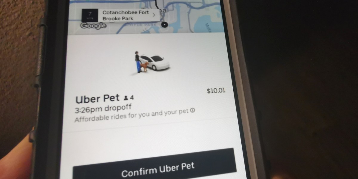 Convenient Pet Transport: Uber Pet Launches In Delhi And Mumbai Convenient Pet Transport: Uber Pet Launches In Delhi And Mumbai
