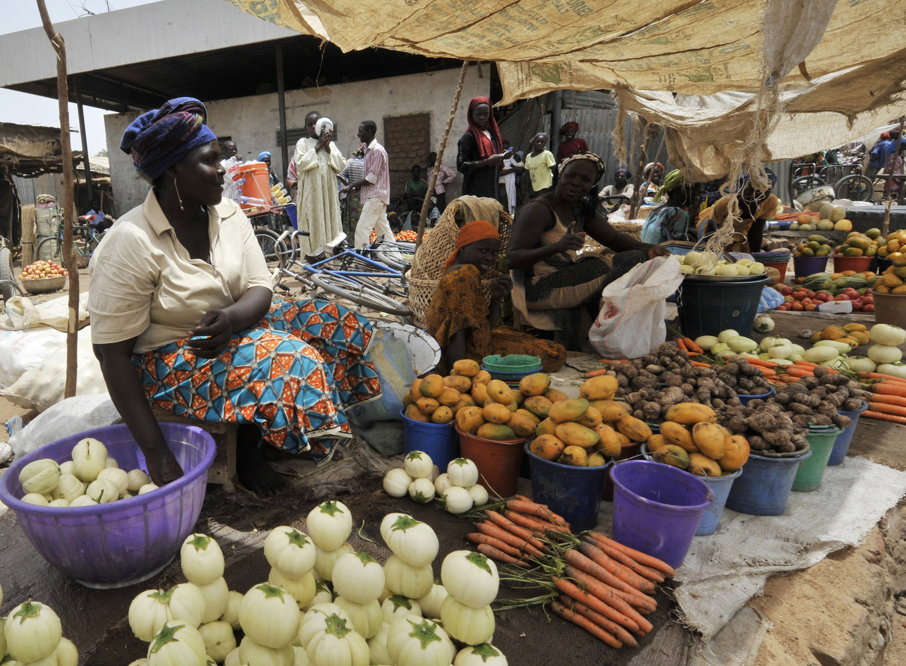 Côte D'Ivoire : Impact Économique De L'arrivée Du Côte D'Ivoire : Impact Économique De L'arrivée Du