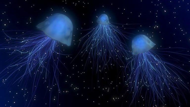 Could We Predict Alien Life? New Discoveries Of Non-Xenomorph Species On Earth Could We Predict Alien Life? New Discoveries Of Non-Xenomorph Species On Earth